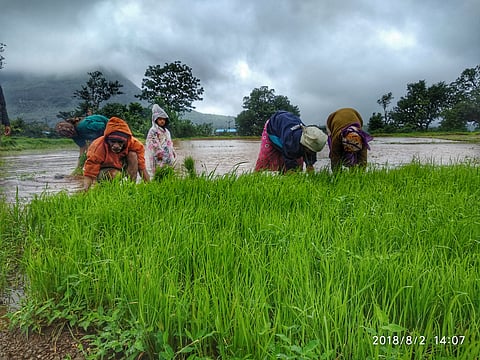 Manipur: 1 Woman Killed After Militants Attack Farmers In Bishnupur